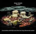 tabs Chocolate Starfish And The Hotdog Flavored Water - Limp Bizkit