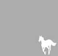 paroles White Pony