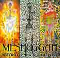 Destroy Erase Improve - Meshuggah