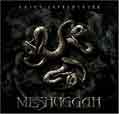 Catch 33 - Meshuggah