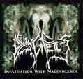 Infatuation With Malevolence - Dying Fetus