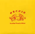 Dance Tonight  ! Revolution Tomorrow - Orchid