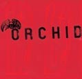 chronique Chaos is Me / Dance Tonight ! - Orchid