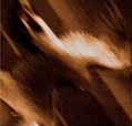 Ashes Against The Grain - Agalloch