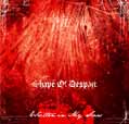 Written In My Scars [EP] - Shape Of Despair