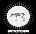 chronique Music for Animals - Superbutt